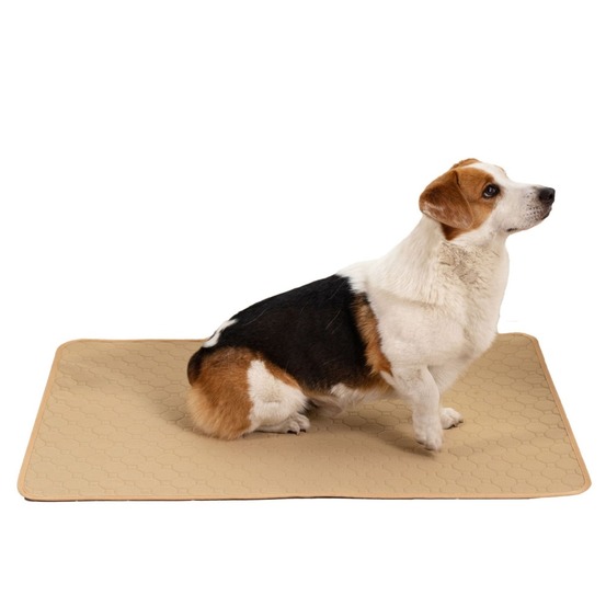Nappe anti-urine pour animaux de compagnie réutilisable 90*140cm beige
