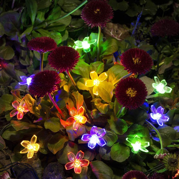 Guirlande lumineuses - fleurs multicolores