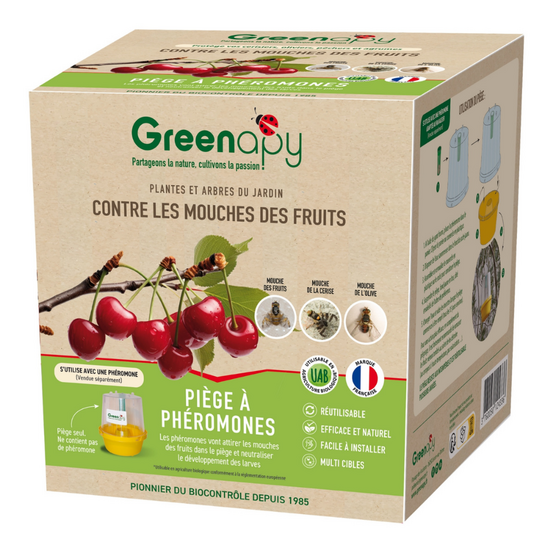 Piège mouche : mouche des fruits