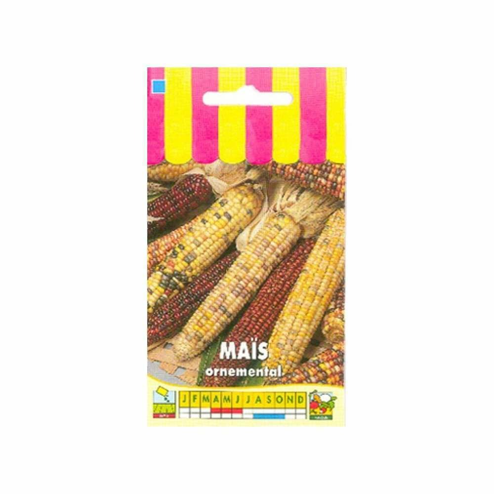 Maïs ornemental en mélange