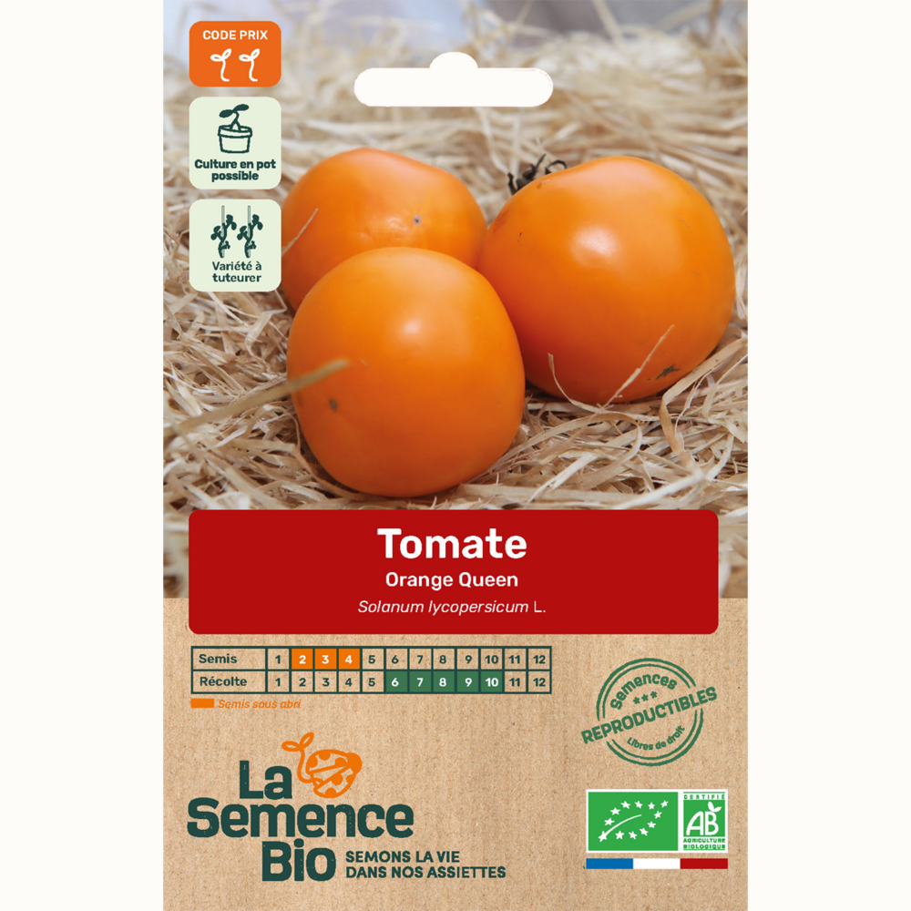 Tomate orange queen - graines bio