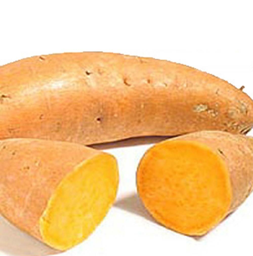 Patate douce - 1 tubercule