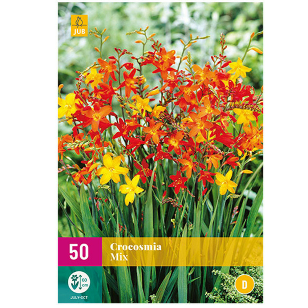 Melange de 50 crocosmia multicolore