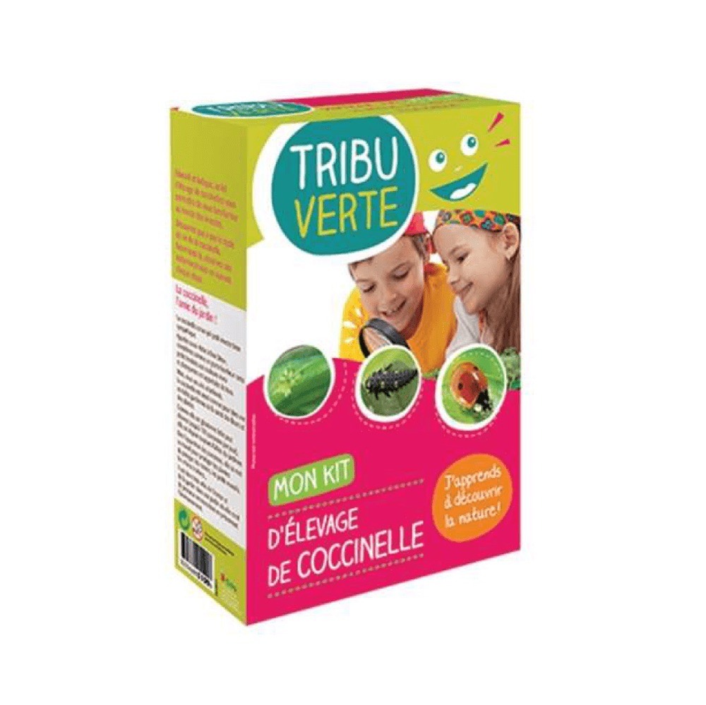 Mon kit : élevage de coccinelles