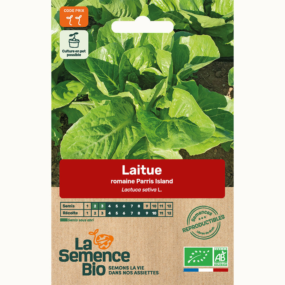 Laitue romaine parris island - graines bio