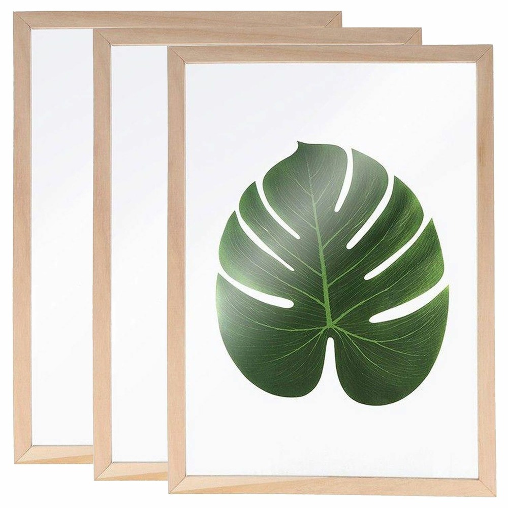 3 cadres en bois pour herbier a4