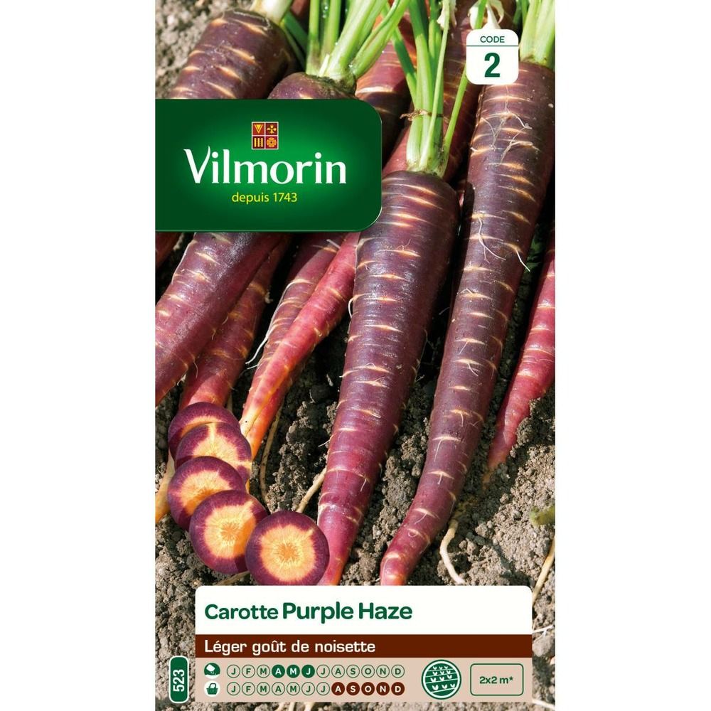 Sachet graines carotte violette purple haze