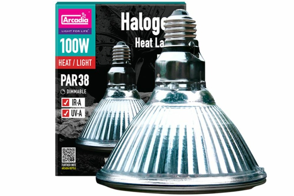 Spot halogène - 100 w - eclairage pour reptiles