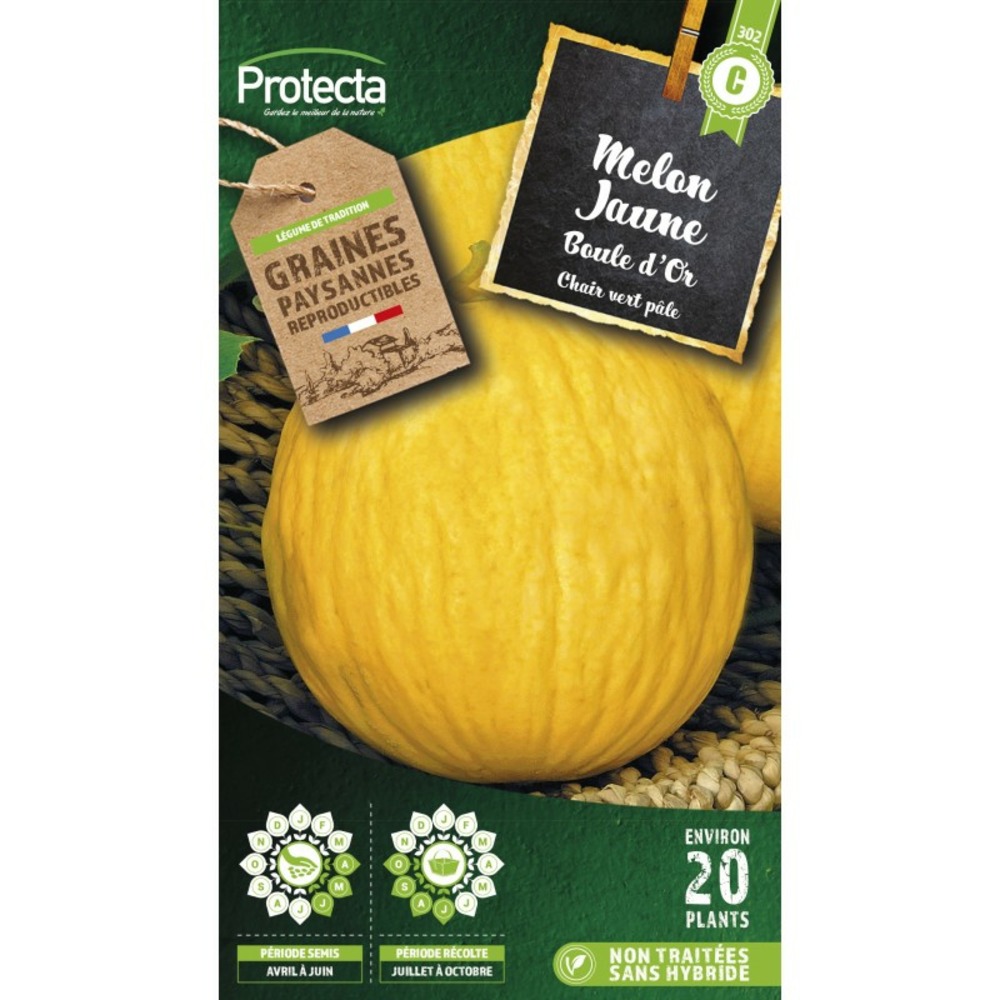 Graines paysannes - melon jaune boule d'or