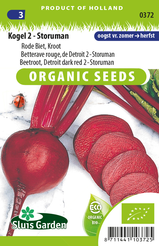 Betterave rouge, de detroit 2 - storuman - graines biologiques - ca. 3 g (livraison gratuite)