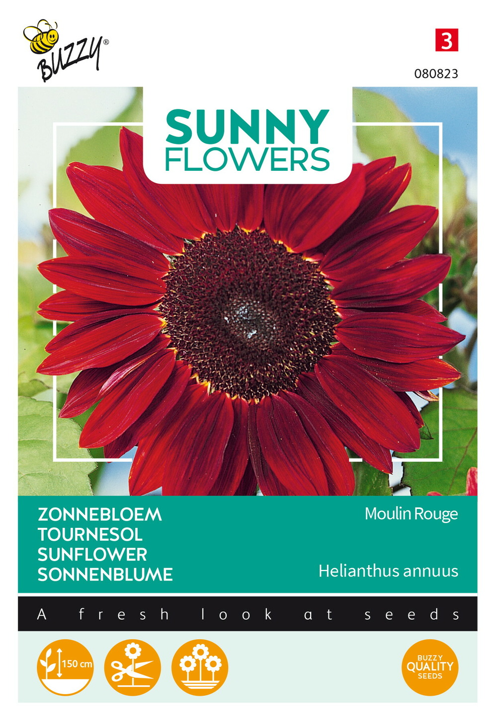 Buzzy sunny flowers, tournesol moulin rouge - ca. 1 gr (livraison gratuite)