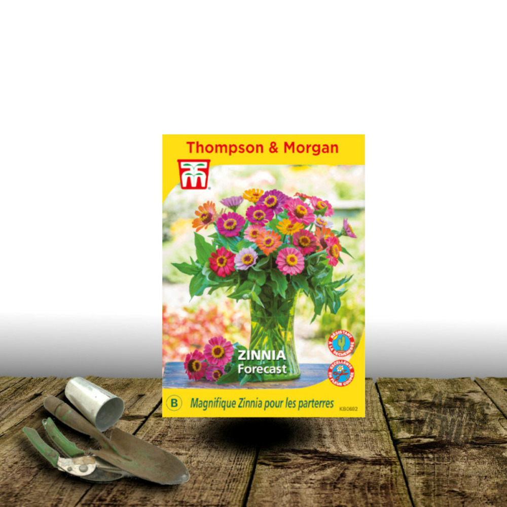 Graines de zinnia forecast - thompson & morgan sachet