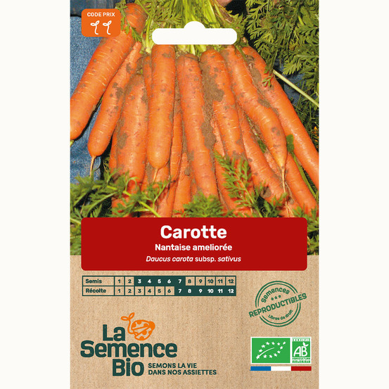 Carotte nantaise améliorée 5 - graines bio