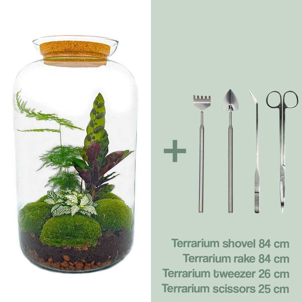 Kit terrarium diy - salen - rateau + pelle + pince + ciseaux