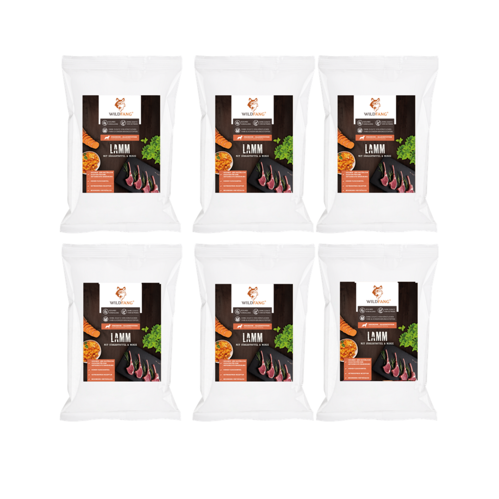 Wildfang - Coffret Gourmet Adulte - Aliments Croustillants