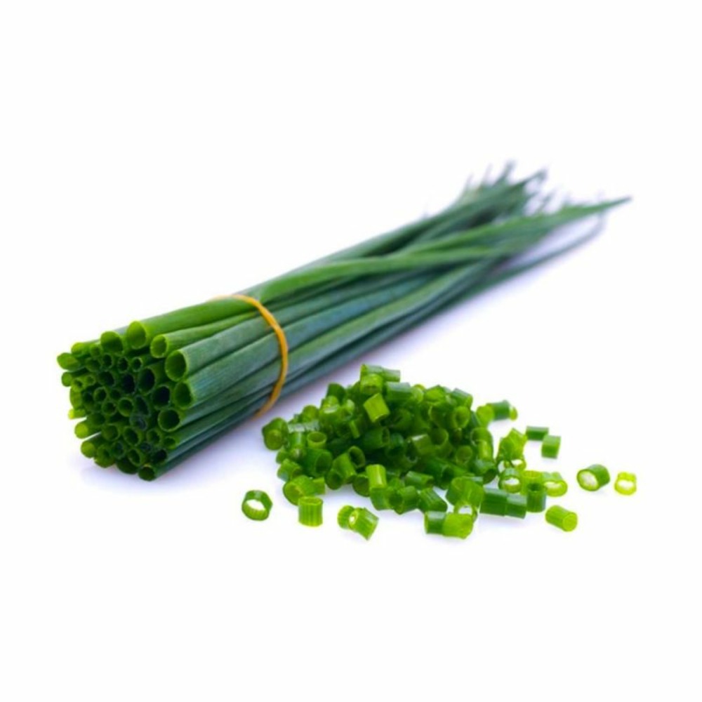 Ciboulette (allium schoenoprasum)