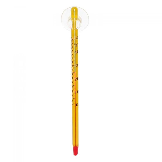 Thermomètre en verre unitaire