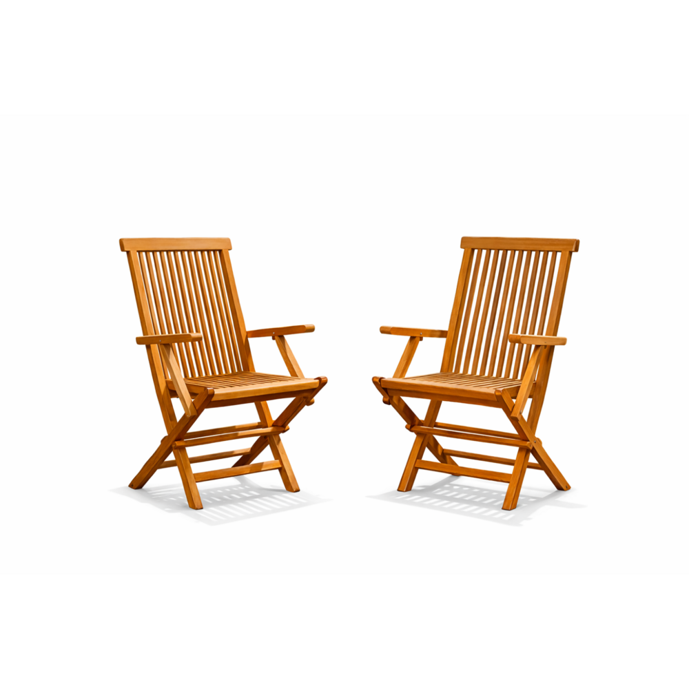 Lot de 2 fauteuils pliants jardin teck massif brut teck