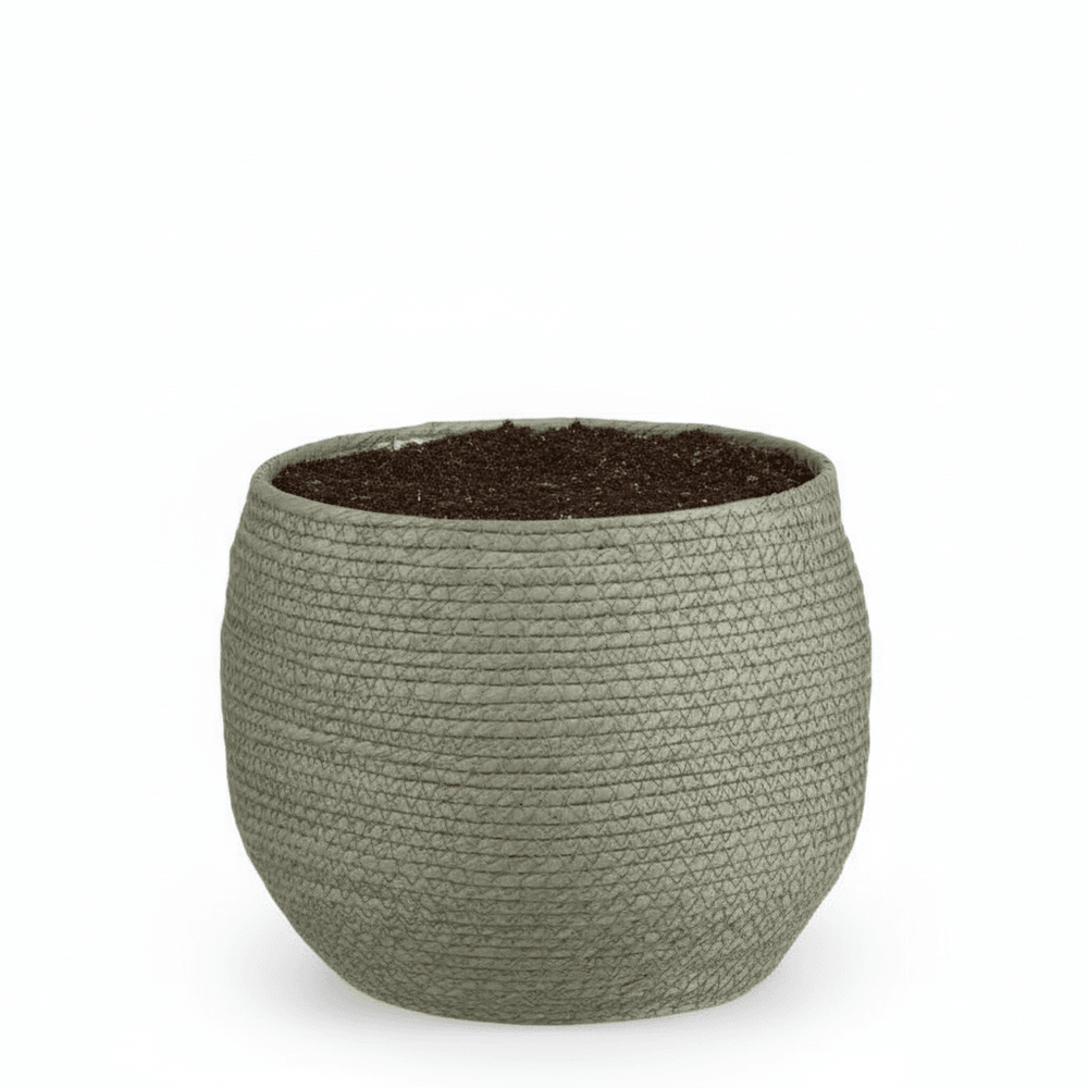 Cache-pot panier vert - d.26cm