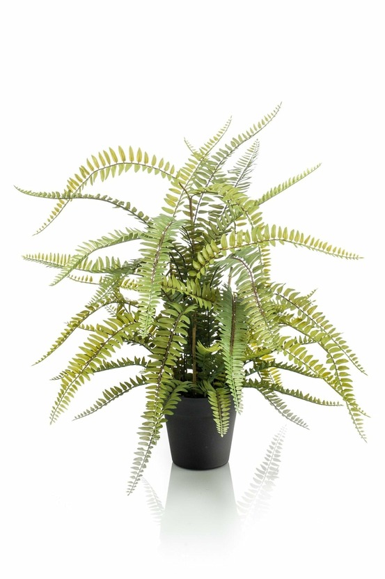 Fougère de boston plante artificielle - h70cm, ø15cm