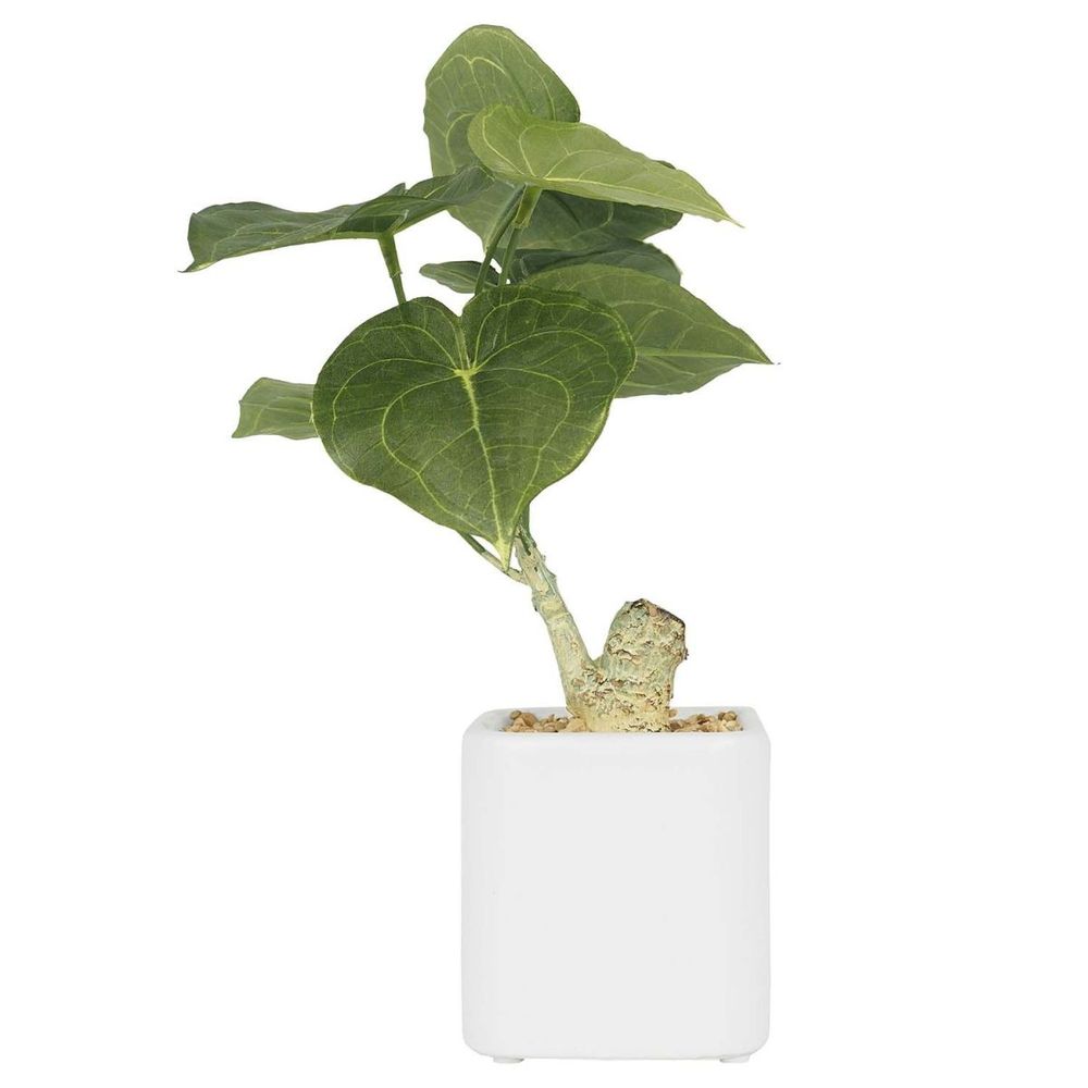 Plante philodendron artificielle pot céramique carré blanc mat 26 cm