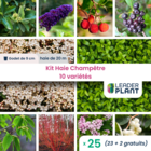 Kit haie champêtre - 10 variétés - lot de 25 godets