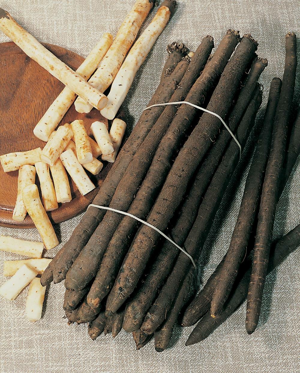 Scorsonere geante noire de russie - 5 g