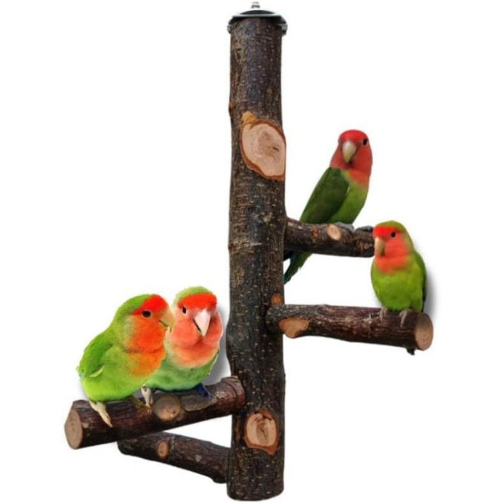 Perchoir bois naturel oiseaux