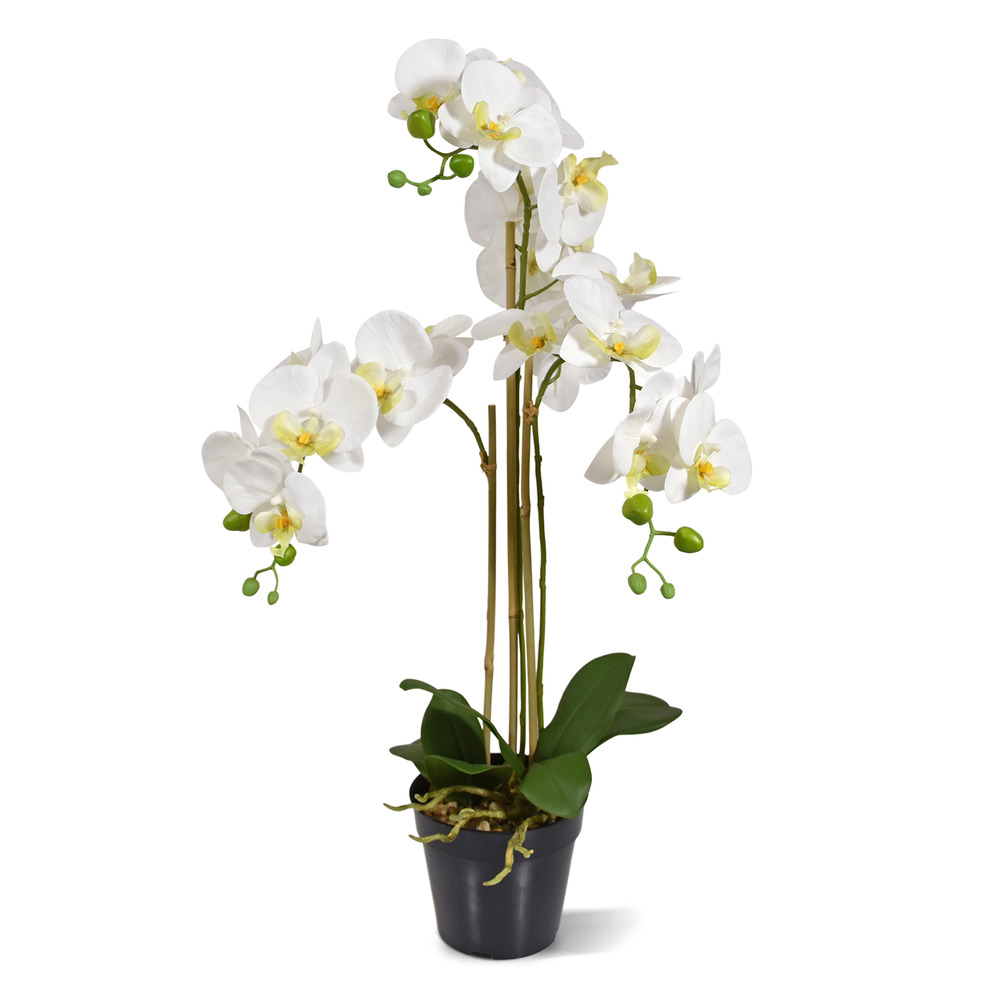 Orchidée phalaenopsis plante artificielle 75cm blanche