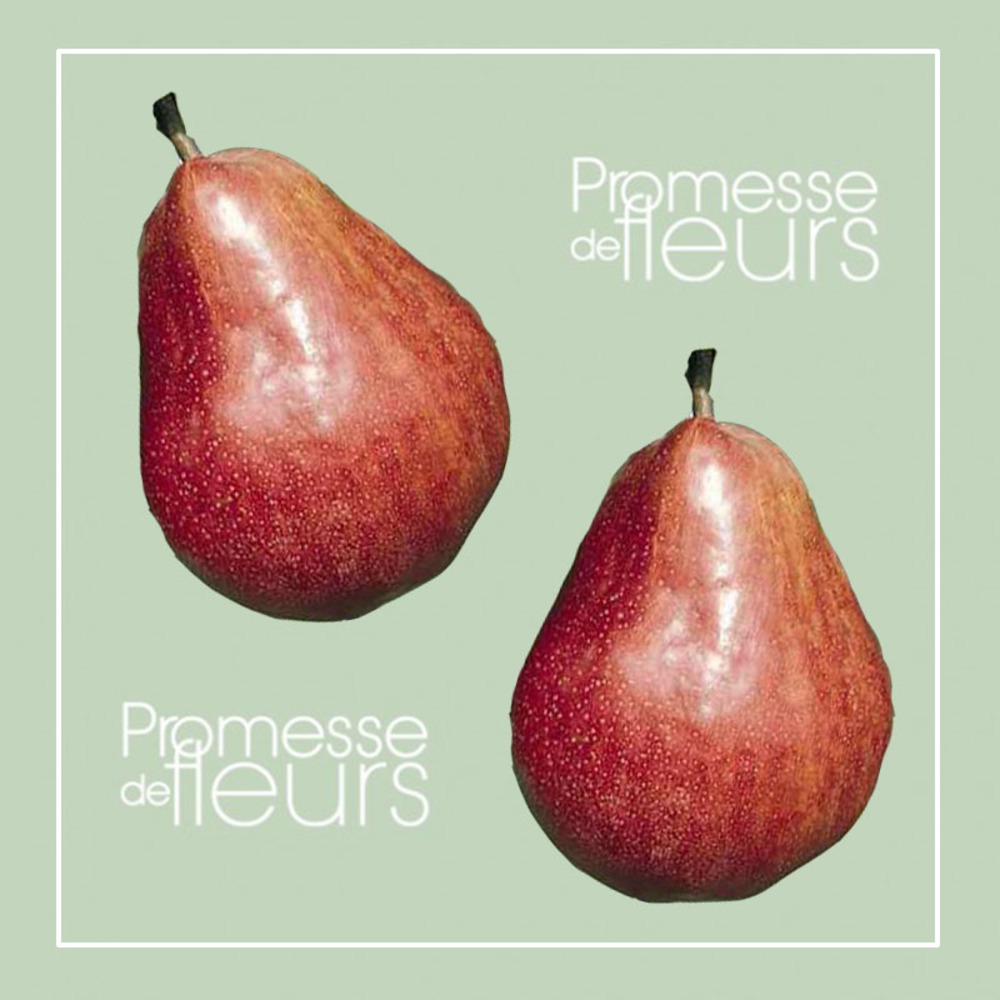 Poirier 'william rouge' pot de 7,5l/10l, gobelet