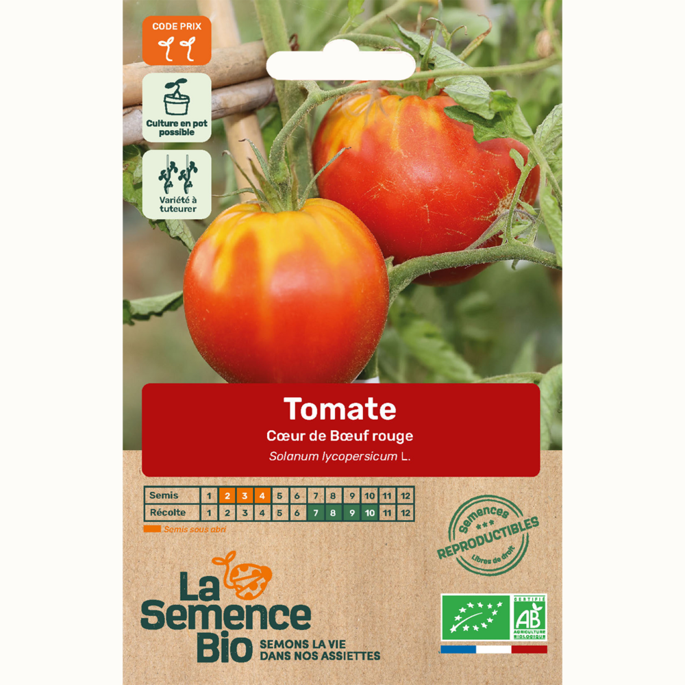 Tomate c ur de b uf rouge - graines bio