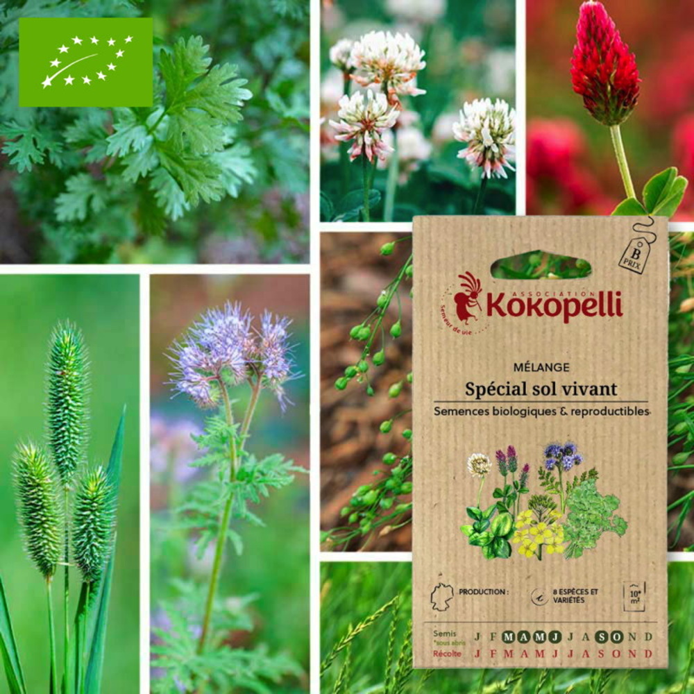 Mélange spécial sol vivant- graines bio à semer