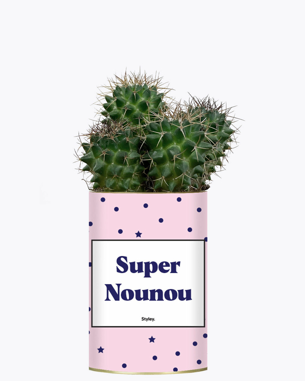 Idée cadeau - super nounou - cactus