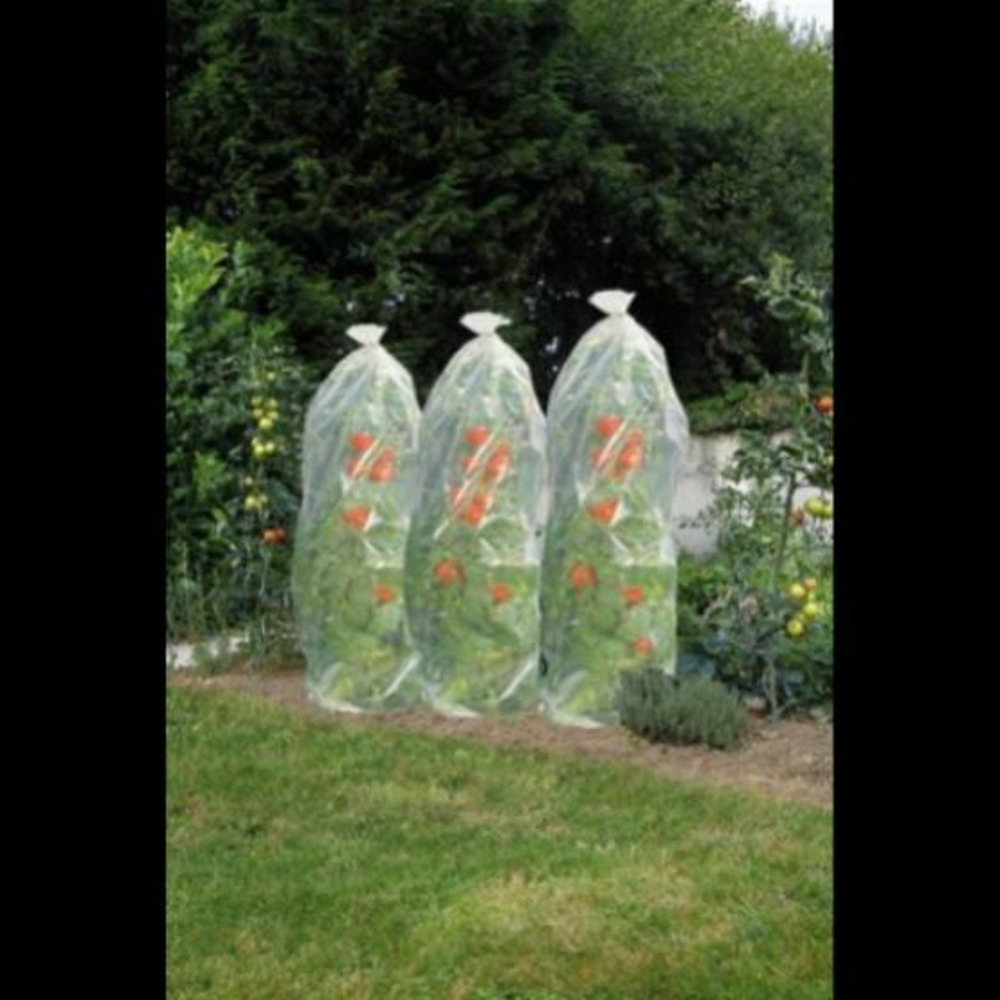 Outside living gaine en film de croissance perforé pour culture de tomates