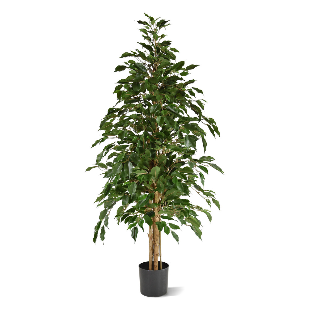 Ficus exotica artificiel vert de 150cm