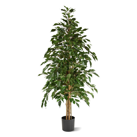 Ficus exotica artificiel vert de 150cm
