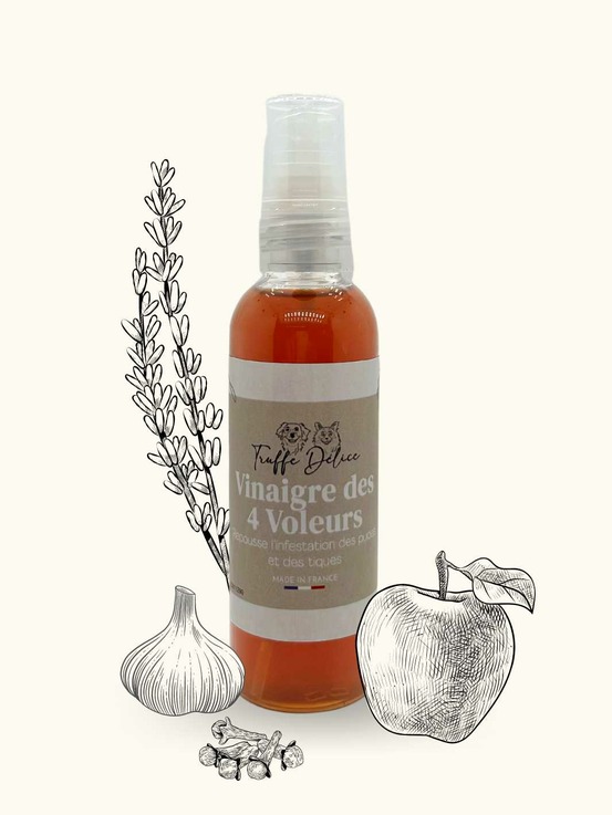 Vinaigre des 4 voleurs -antiparasitaire naturel