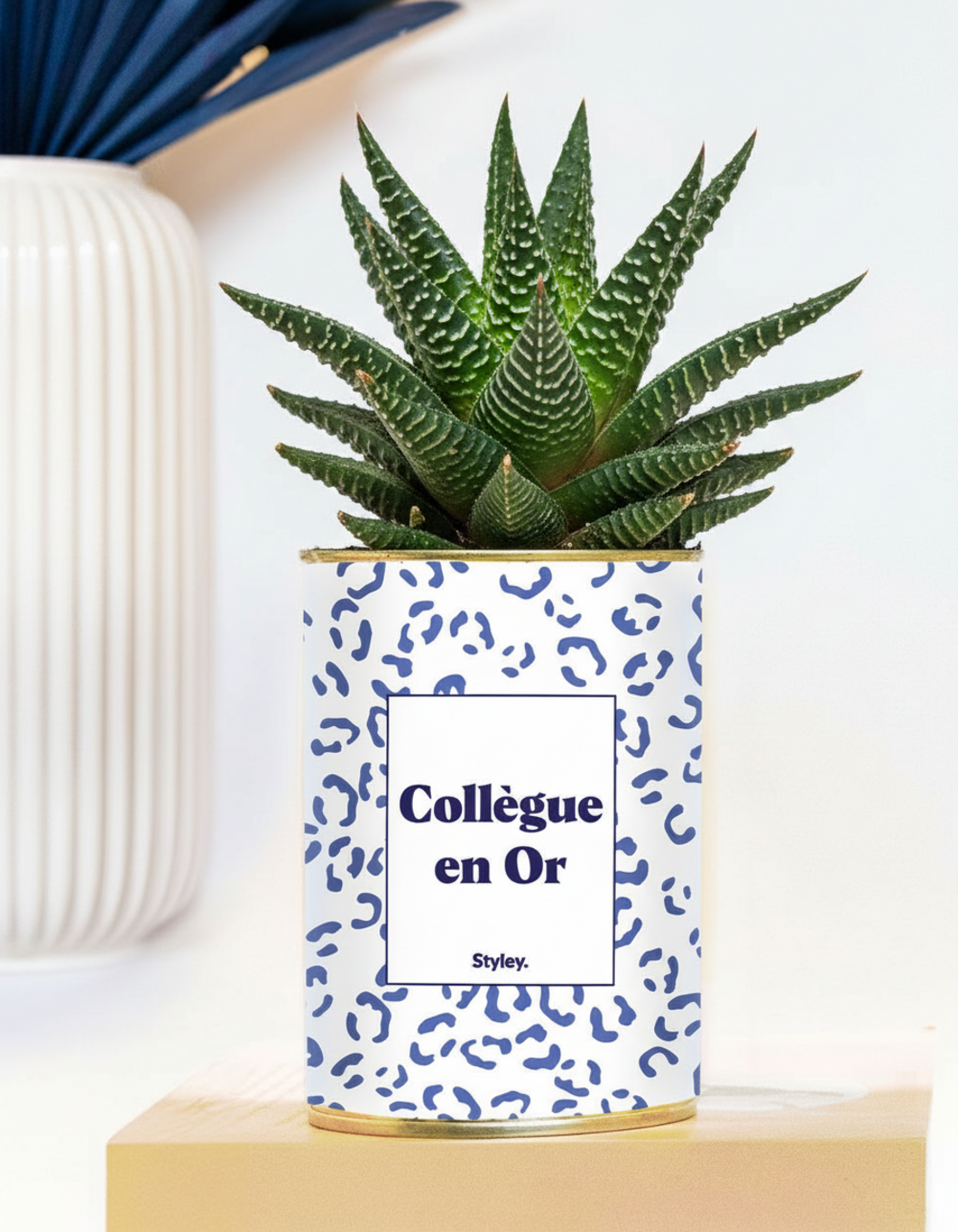 Plante drôle - collègue en or - plante grasse