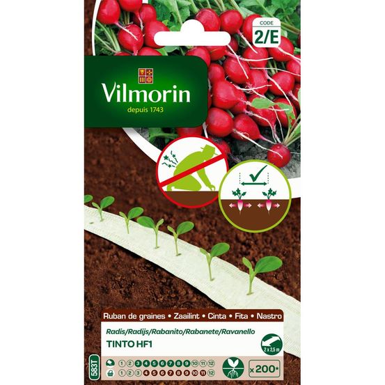 Ruban de graines radis tinto hf1 5m