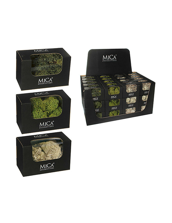 Assortiment de plantes de mousse artificielle. Crème, vert. 50gr.