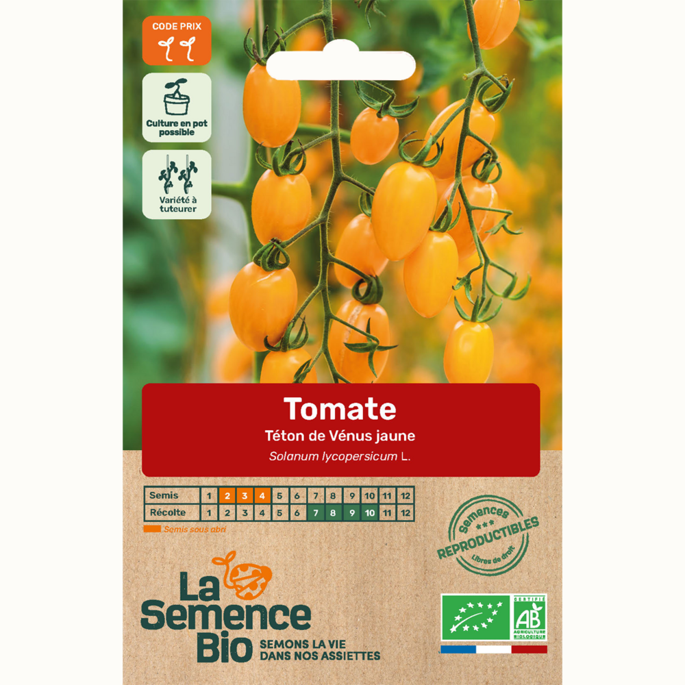 Tomate téton de vénus jaune - graines bio