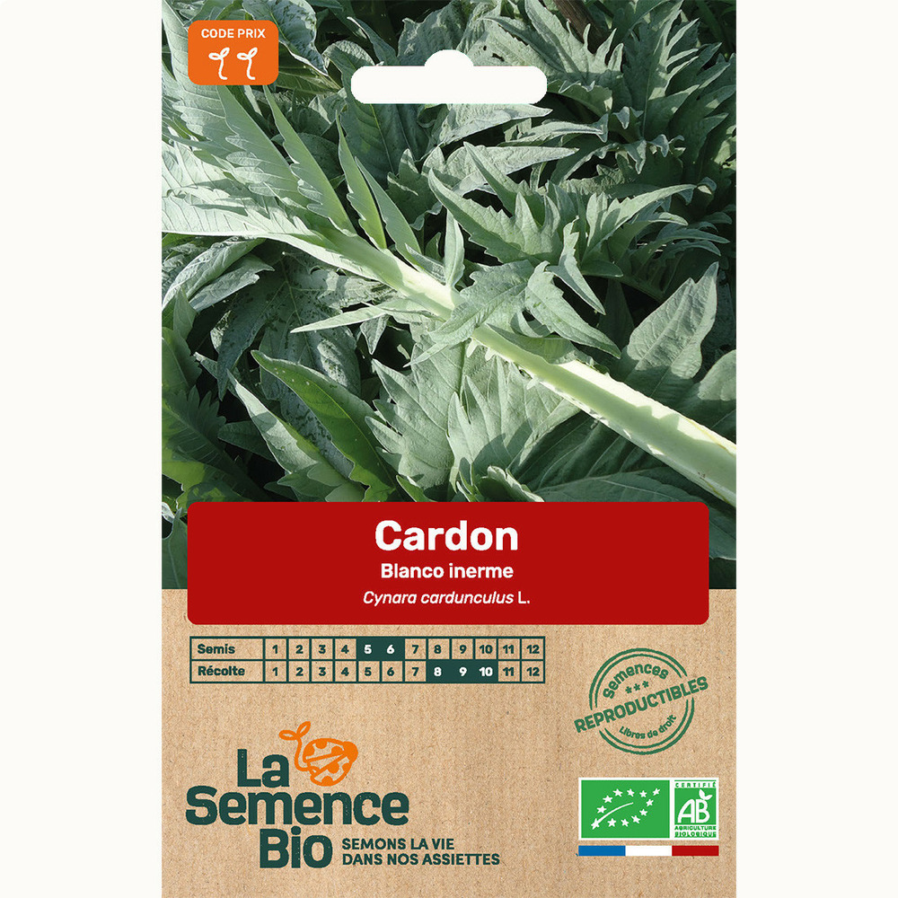 Cardon blanco inerme - graines bio