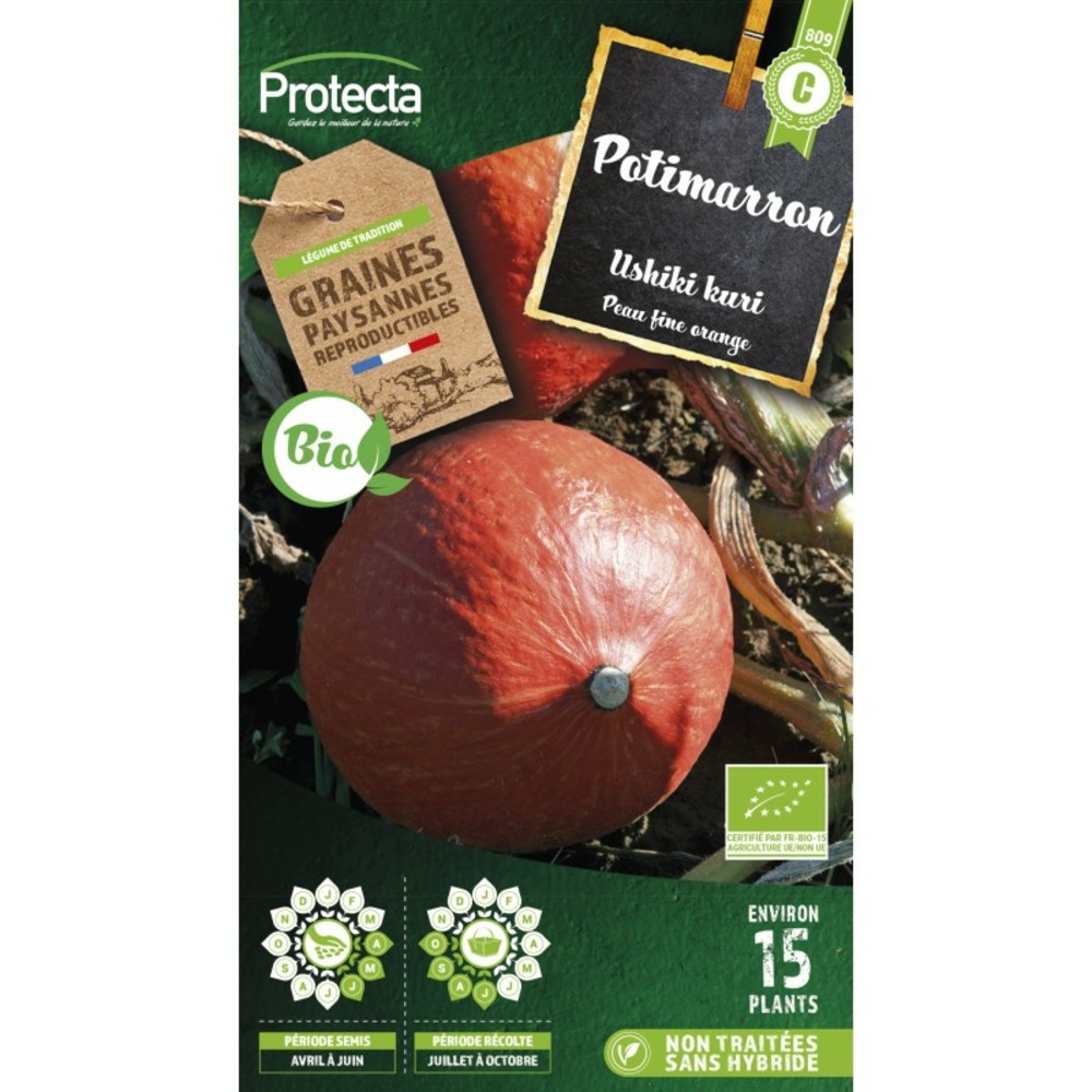 Graines paysannes - potimarron ushiki kuri bio