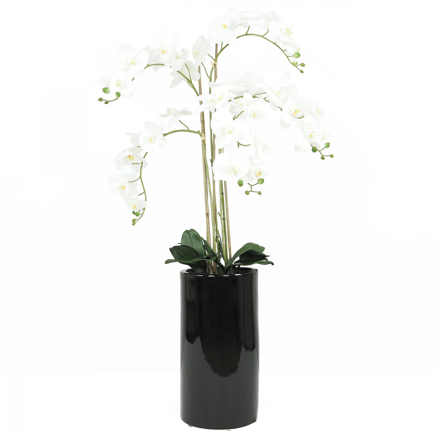 Orchidées artificielles blanches 135cm