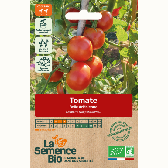 Tomate belle arlésienne - graines bio