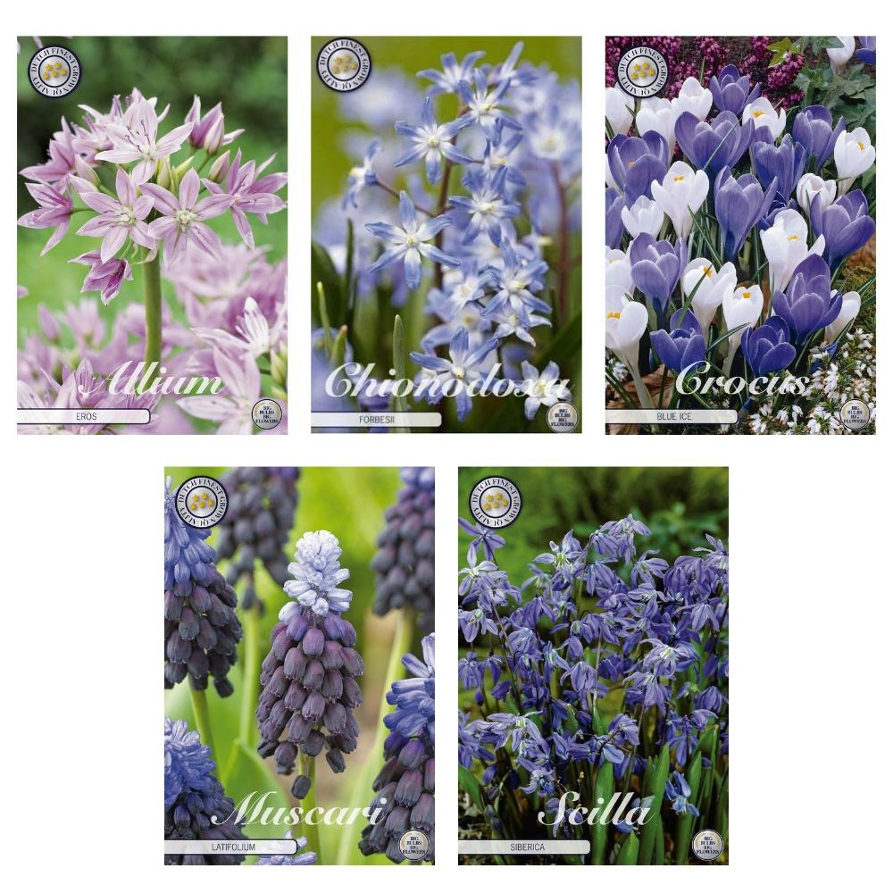 Mélange de bulbes - 5 variétés - 70 bulbes