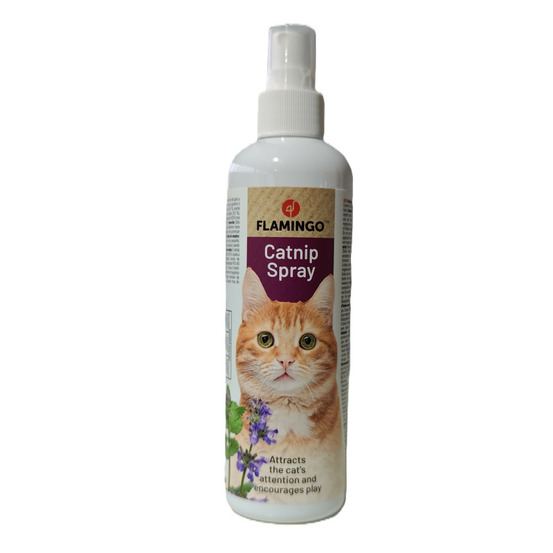 Catnip en spray 250 ml pour chat