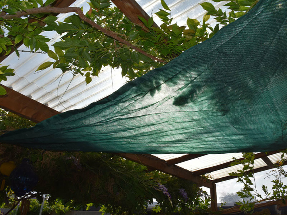 Voile d'ombrage - vert - forme triangle - 185g/m² vert/noir 2. 5 x 2. 5 x 3. 5