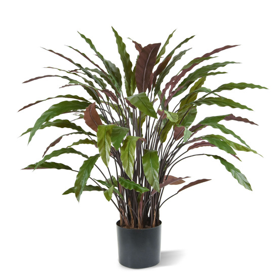 Calathea plante artificielle vert/rouge de 85cm