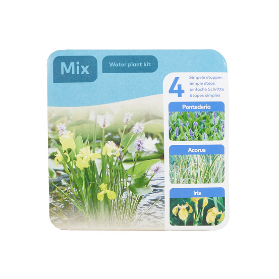 Lot de 3 plantes de bassin - y compris anneau flottant - pontederia - acorus - iris